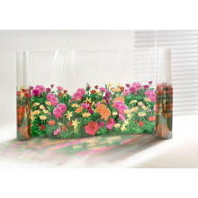 fleurs fleurs